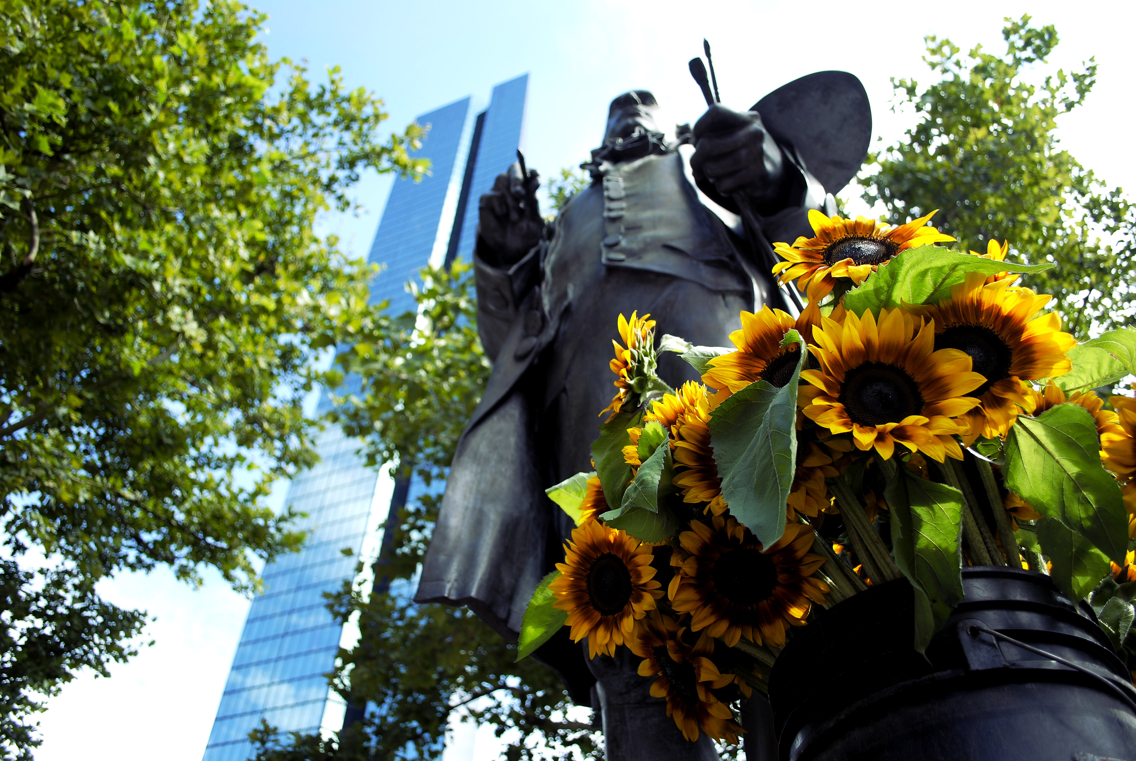 Sunflowers