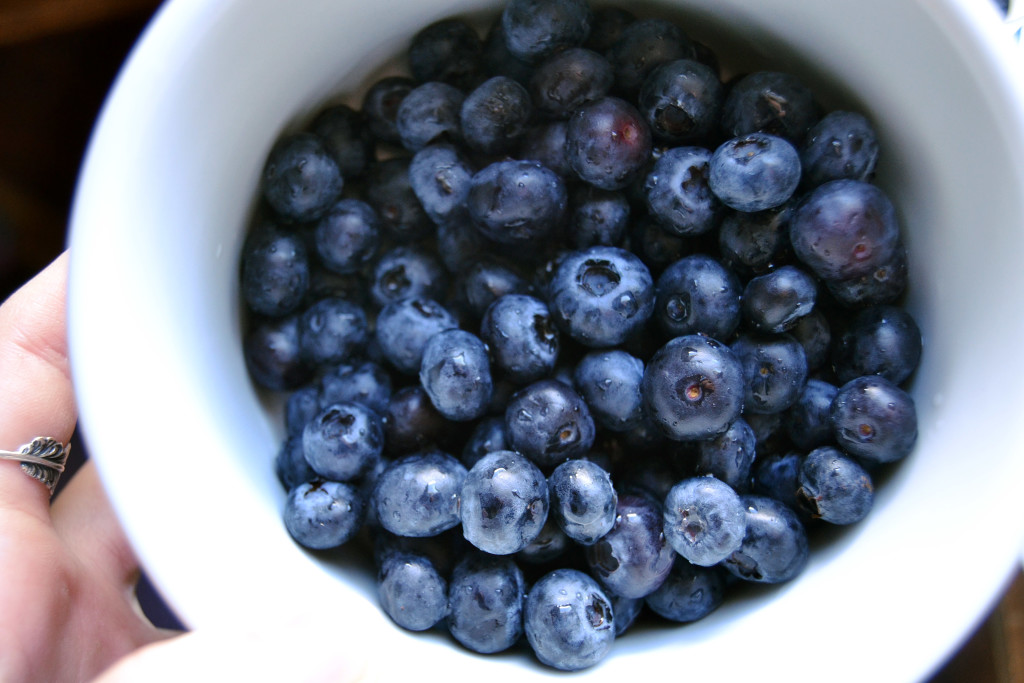 blueberries1