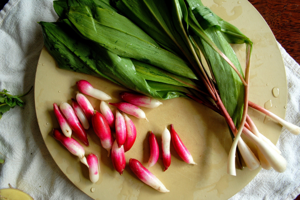 Ramps and Radishes