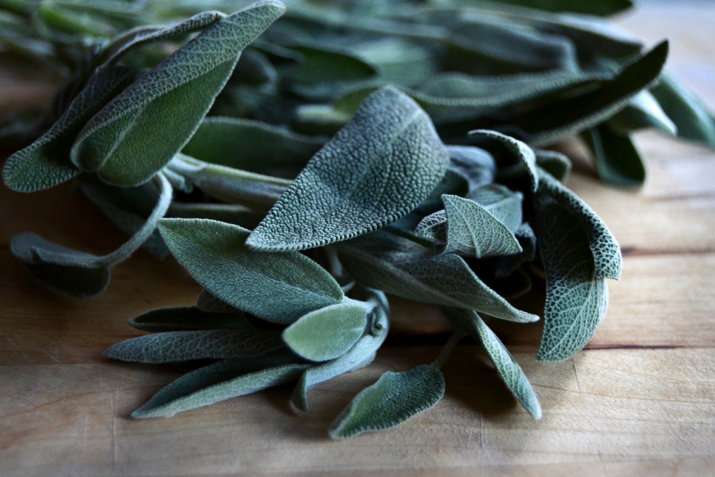 sage bunch