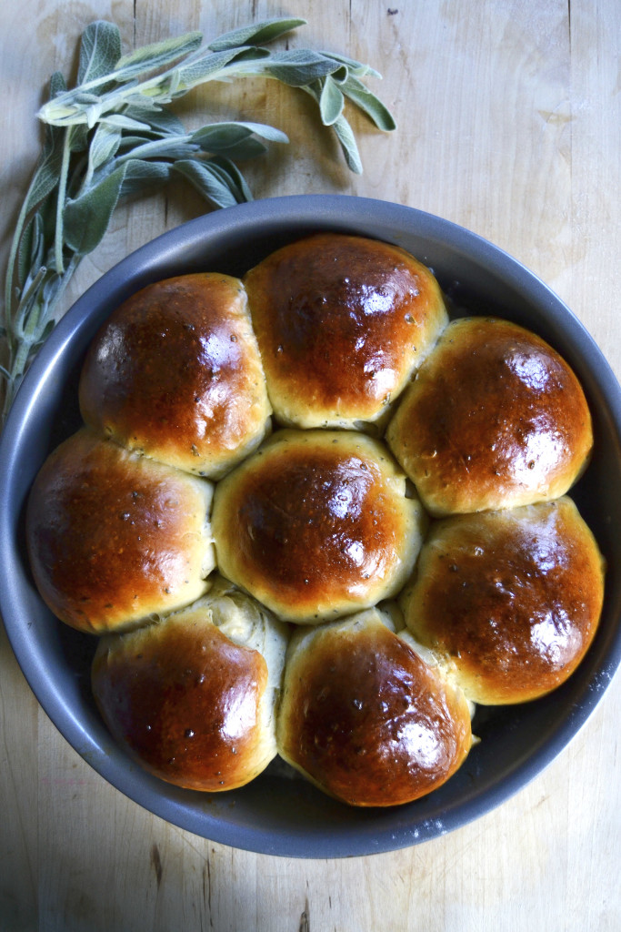 Apple Cider and Sage Dinner Rolls