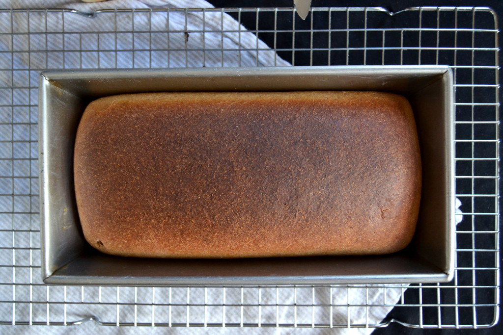 whole wheat sandwich loaf