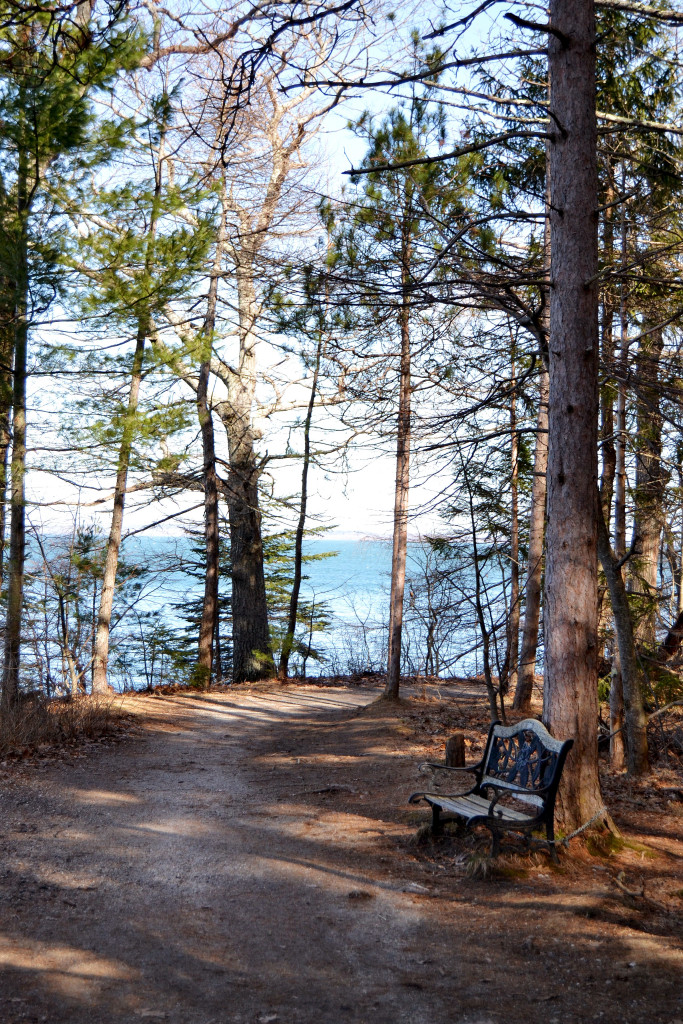 lonely bench