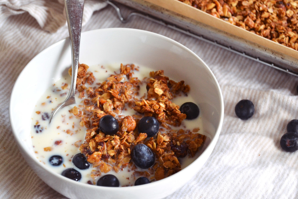 nutty granola with blues