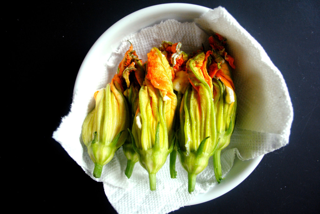 Stuffed Blossoms