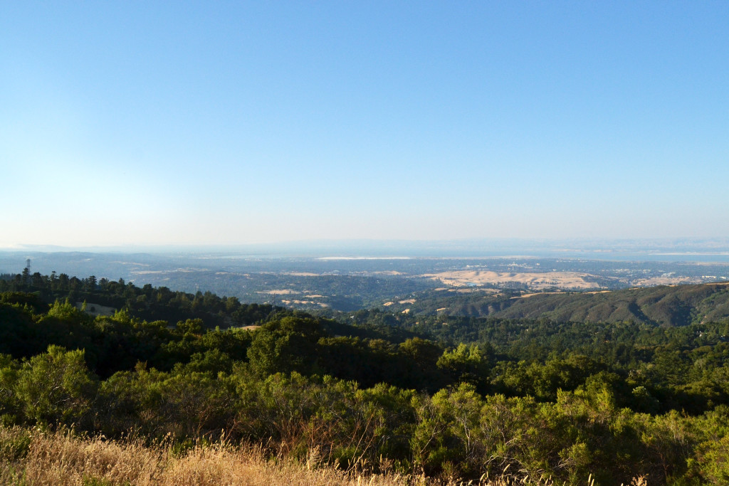 View of the Bay