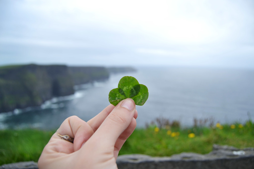 cliffs-of-moher-and-clover