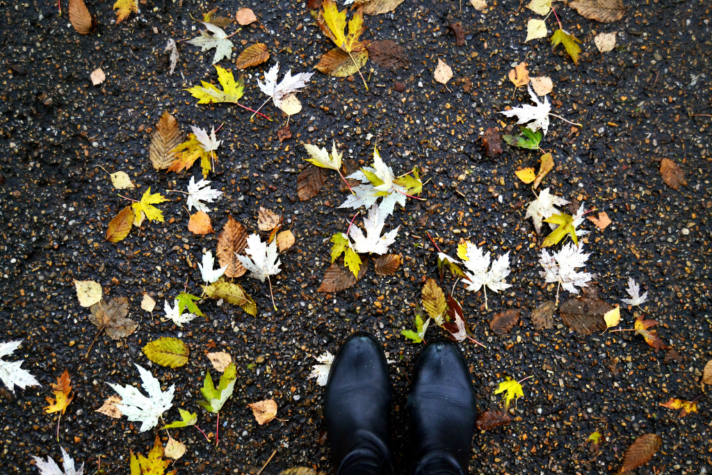 kirkegaard-leaves-copenhagen