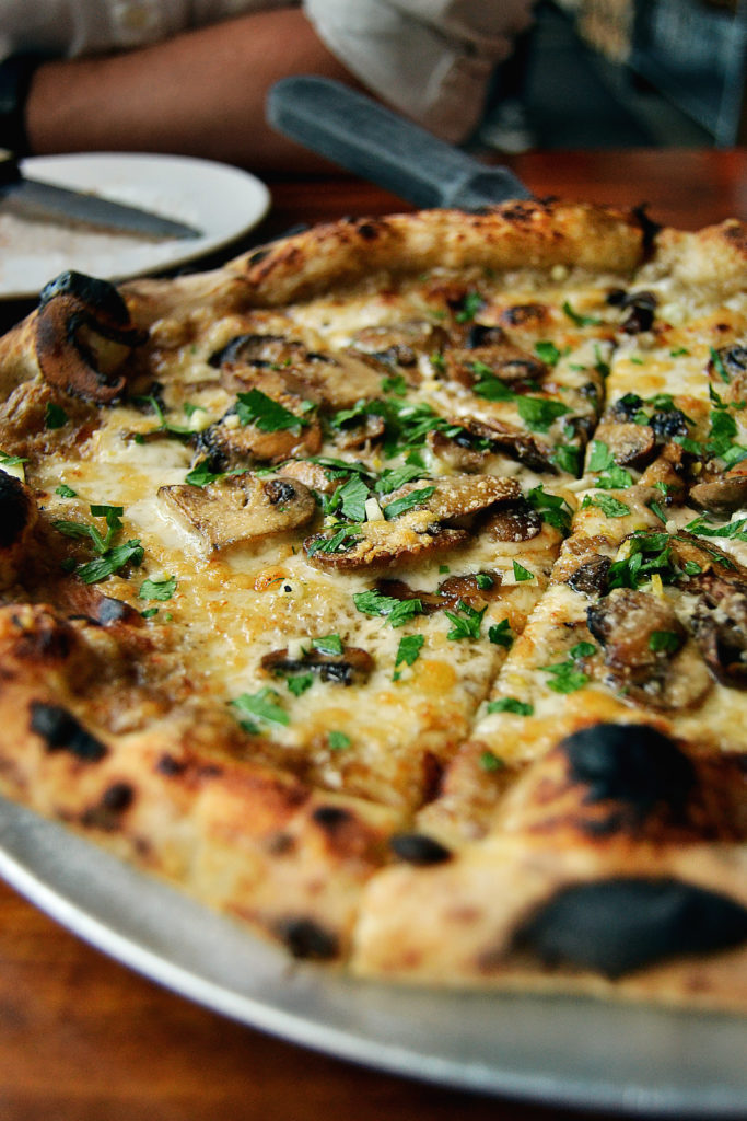 Mushroom and Fontina pizza